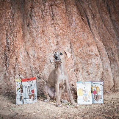 Le beau Tacoma en compagnie de nos friandises 🤗❤️

@lisagualtieri_ 

#paroledetruffes #snack #friandises #treats #doglovers #petlovers #petstagram #dogsofinstagram #doglife #doglove #shopping #petstore #onlineshop #happy #instagood #instagram #instadaily #partnership #petfood #dogfood #puppy