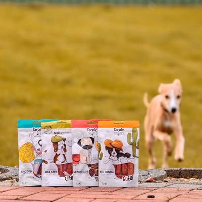 Le sublime Tacoma semble toujours aussi fan de nos friandises ! 🥰🐶

Superbes photos de @rametphotography 😍📸

@lisagualtieri_ 🐕🧍🏼‍♀️

#petlovers #doglovers #petstagram #dogsofinstagram #dogphoto #dogmodel #dogoftheday #photooftheday #shopping #friandises #photography #dog #doglove #whippet #instagood #instadaily #instagram #shooting #newpost